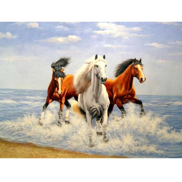 malowanie po numerach galopujące konie, obraz do malowania na płótnie z koniami
