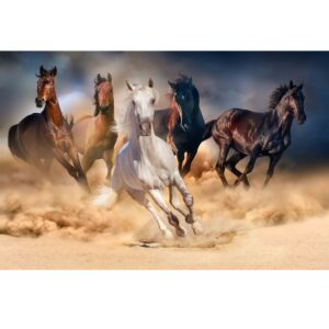 malowanie po numerach konie w galopie, konie galopujące, obraz na płótnie, obraz do malowania na płótnie z koniami