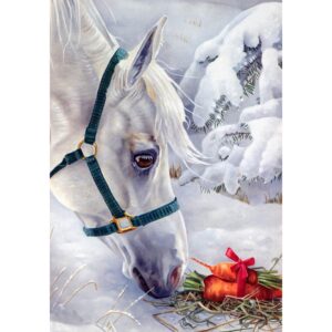 malowanie po numerach biały koń zimą, obraz do malowania na płótnie biały koń zimą, obraz biały koń zimą, malowanie po numerach zabawki Bochnia