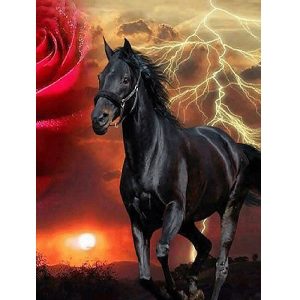 malowanie po numerach czarny koń i róża, zabawki nino Bochnia, pomysł na prezent dla miłośnika sztuki, obraz do malowania na płótnie, obraz konia