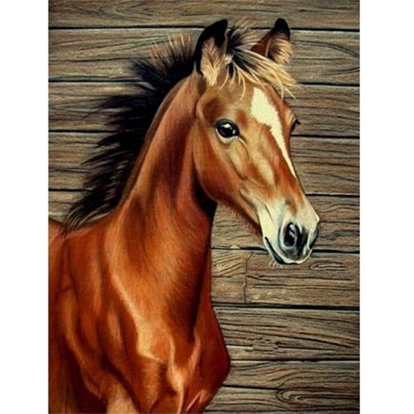malowanie po numerach koń młoda klacz, zabawki Nino Bochnia, pomysł na prezent dla 10 latki, obraz do malowania na płótnie koń