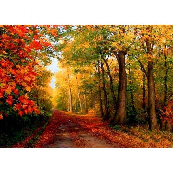 malowanie po numerach las ścieżka jesienna, zabawki Nino Bochnia, obraz do malowania farbami na płótnie, zabawki Nino Bochnia, obraz ścieżka w lesie