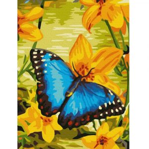 malowanie po numerach motyl na żółtych kwiatach, obraz do malowania na płótnie, zabawki Nino Bochnia