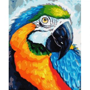 malowanie po numerach papuga, zabawki nino Bochnia, obraz do malowania farbami na płótnie, obraz z papugą, papuga