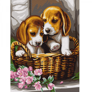 malowanie po numerach psy szczeniaki w koszyczku, zabawki Nino Bochnia, obraz do malowania farbami na płótnie, obraz z pieskami, słodkie pieski w koszyku