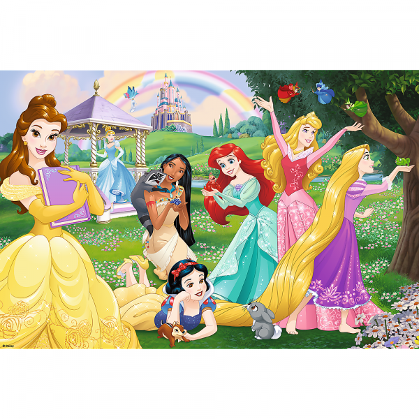trefl puzzle dwustronne 24 el super maxi Disney księżniczki wesołe księżniczki 41008, puzzle dwustronne maxi elementy, duze puzzle dla dziecka, zabawki Nino Bochnia