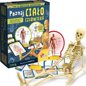 Lisciani mały geniusz poznaj ciało człowieka 50802, zabawki nino Bochnia, pomysł na prezent dla 7 latka, szkielet ludzki do nauki,