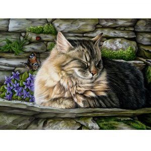 malowanie po numerach kocur śpiący na kamiennym murku, malowanie po numerach kot, obraz kota do pomalowania farbami, kot kocur