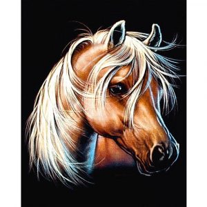 malowanie po numerach koń piękny rumak, zabawki Nino Bochnia, portret konia do pomalowania na płótnie, maluj po numerach, koń z grzywą, zabawki Nino Bochnia, co kupić na prezent pasjonatce koni
