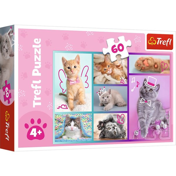 trefl puzzle 60 el słodkie kociaki 17373, zabawki Nino Bochnia, puzzle dla 4 latki z kotkami