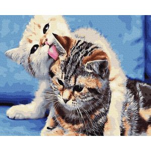 malowanie po numerach dwa kotki myjące się, zabawki Nino Bochnia, obraz do malowania na płótnie, obraz z kotami